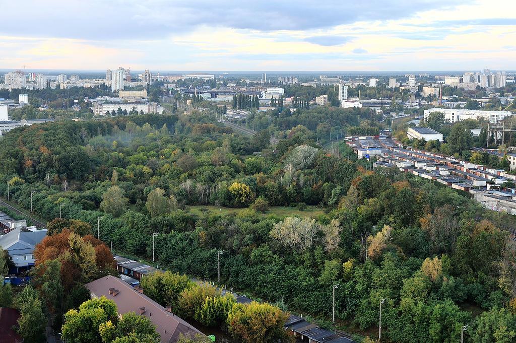 The Sky Loft Apartment Kiev Bagian luar foto